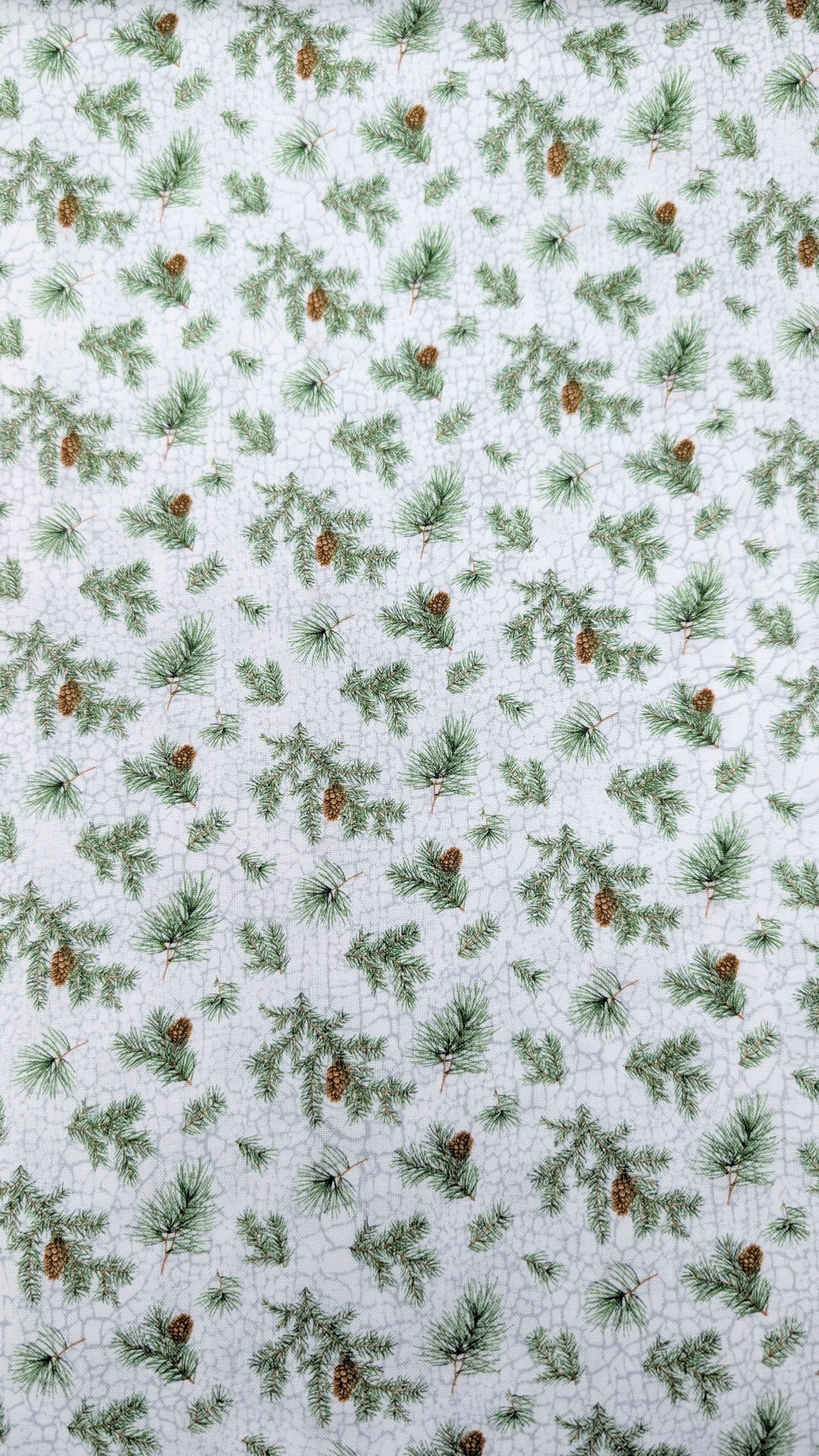 Northcott- Winter Woodland-Pinecones
