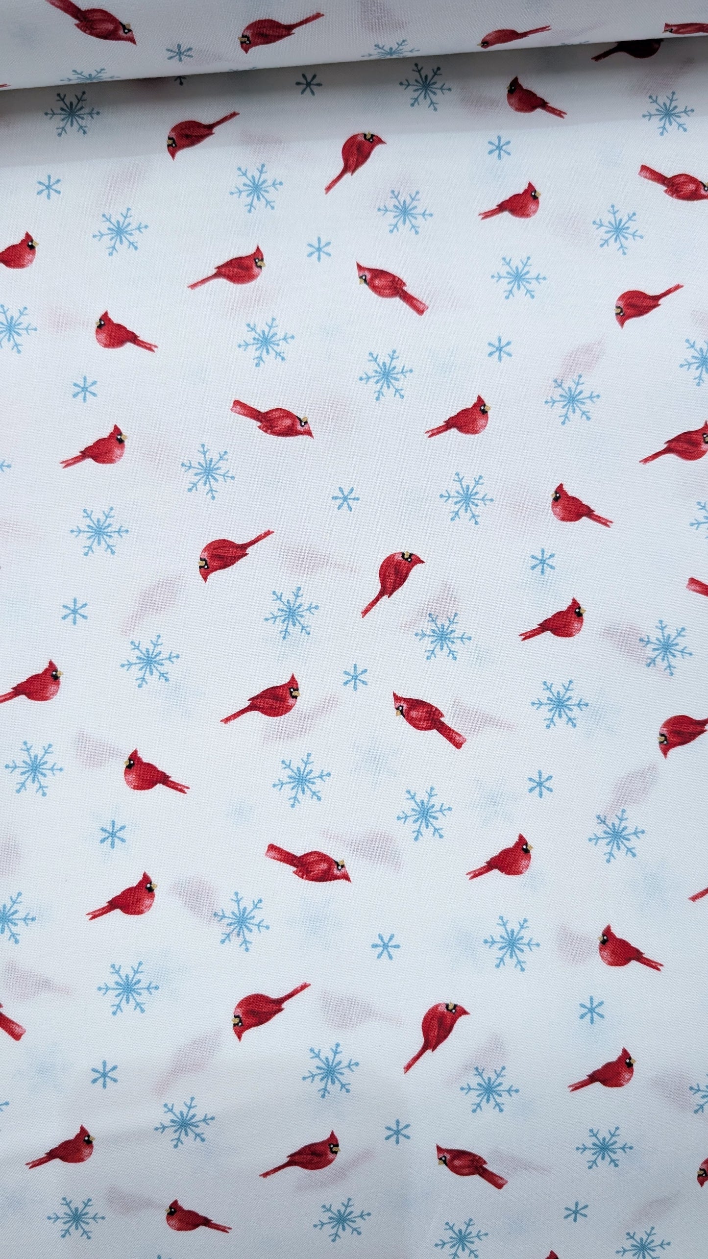 Northcott-Holly Jolly- Cardinal Toss