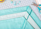 Baby Lock Euphoria Coverstitch