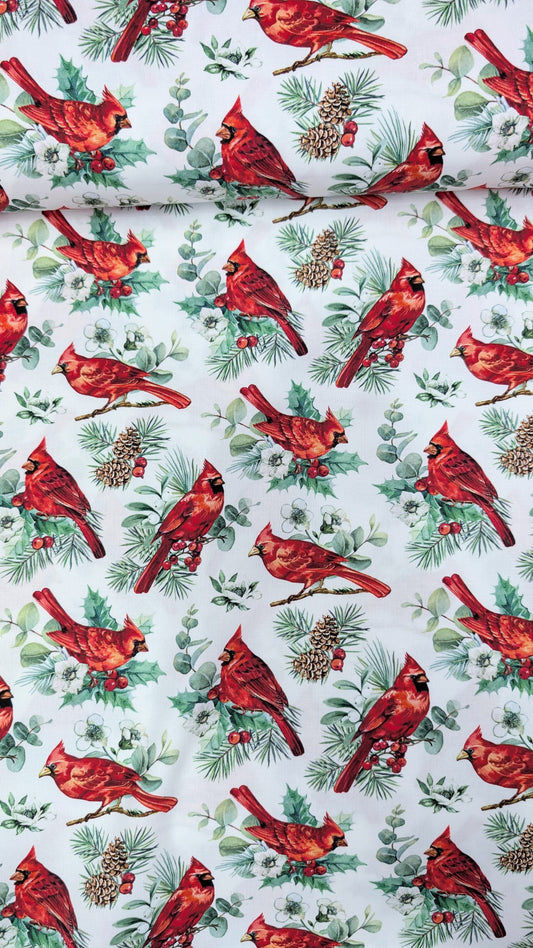 Northcott- Home for Christmas- Cardinals