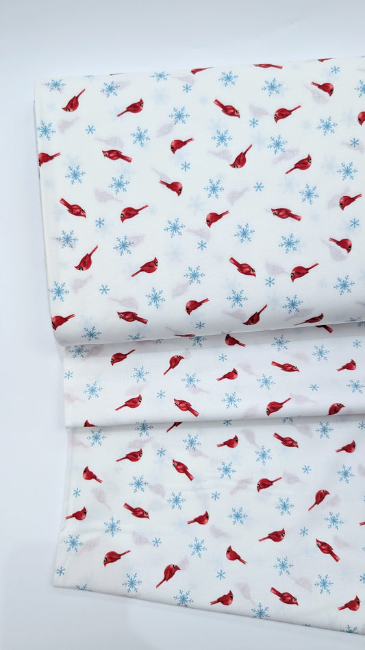 Northcott-Holly Jolly- Cardinal Toss